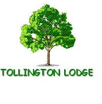 Care Home   Tollington Lodge 436358 Image 0